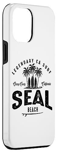 THREE VINTAGE SURFBOARDS AND PALMS - Seal Beach Case