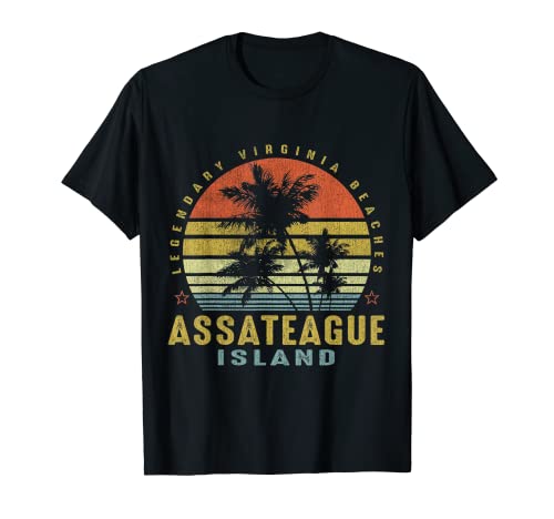 Assateague Island Retro Palm Sunset - Beach Lover Design T-Shirt